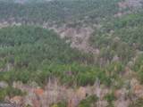 0 Hopeful/Cheaha Road - Photo 1