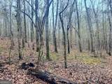 0 Hopeful/Cheaha Road - Photo 29