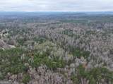 0 Hopeful/Cheaha Road - Photo 6