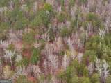 0 Cheaha Road - Photo 37