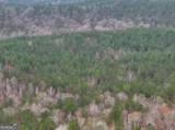 0 Cheaha Road - Photo 39