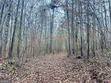 0 Cheaha Road - Photo 8