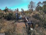 0 Buck Road - Photo 7