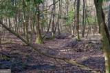 0 Limestone Road - Photo 19