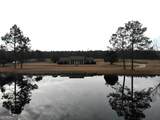 1668 Golden Isles Highway - Photo 2
