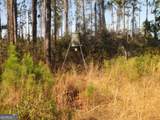 0088 003A Pine Level Church Road - Photo 11