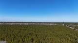 0088 003A Pine Level Church Road - Photo 16