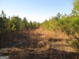 0088 003A Pine Level Church Road - Photo 5