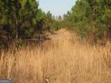 0088 003A Pine Level Church Road - Photo 6