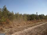 0088 003A Pine Level Church Road - Photo 8