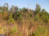0088 003A Pine Level Church Road - Photo 9