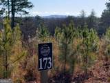 LOT 173 Lecroy Drive - Photo 3