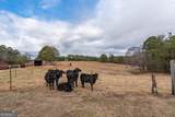 99 Antioch Road - Photo 17