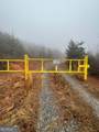 0 Fox Mountain Road - Photo 11
