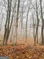 0 Fox Mountain Road - Photo 2