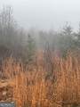 0 Fox Mountain Road - Photo 4