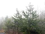 0 Fox Mountain Road - Photo 5