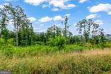 LOT 128 Twisted Oak Road - Photo 12