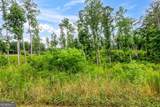 LOT 128 Twisted Oak Road - Photo 21
