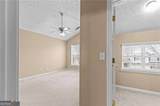 4932 Vireo Drive - Photo 26