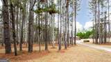 3060 Clegg Farm Road - Photo 8