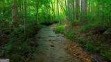 0 Nocona Trail - Photo 9