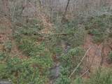 0 Bryant Creek Road - Photo 15