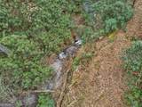 0 Bryant Creek Road - Photo 16