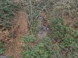 0 Bryant Creek Road - Photo 18
