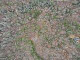 0 Bryant Creek Road - Photo 3