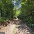 3.38 ACRES Long Creek - Photo 9