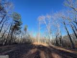 300 Dug Down Road - Photo 31