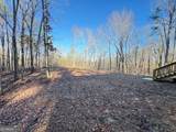 300 Dug Down Road - Photo 33
