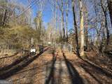 170 Old Gold Mine Trail - Photo 10