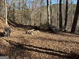 170 Old Gold Mine Trail - Photo 11