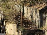 170 Old Gold Mine Trail - Photo 12