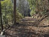 170 Old Gold Mine Trail - Photo 15