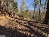 170 Old Gold Mine Trail - Photo 16