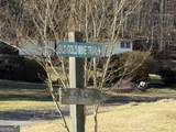 170 Old Gold Mine Trail - Photo 2