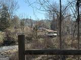 170 Old Gold Mine Trail - Photo 4