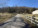 170 Old Gold Mine Trail - Photo 7