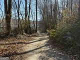170 Old Gold Mine Trail - Photo 9