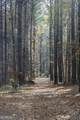 +/- 198 ACRES Dennis Creek Road - Photo 18