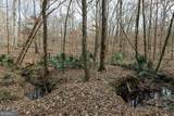 +/- 198 ACRES Dennis Creek Road - Photo 19