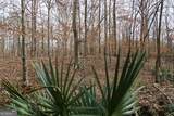 +/- 198 ACRES Dennis Creek Road - Photo 20