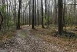 +/- 198 ACRES Dennis Creek Road - Photo 24