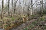 +/- 198 ACRES Dennis Creek Road - Photo 28