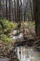 +/- 198 ACRES Dennis Creek Road - Photo 29