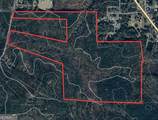 +/- 198 ACRES Dennis Creek Road - Photo 33