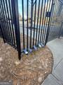898 Oak Street - Photo 24